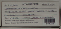 Image Associated With the Occurence